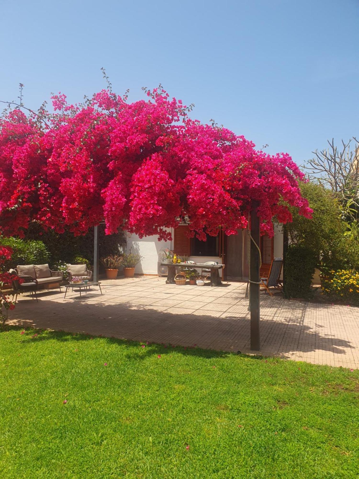 La Depandance Di Villa Rosa Locazioni Brevi Mondello Bagian luar foto